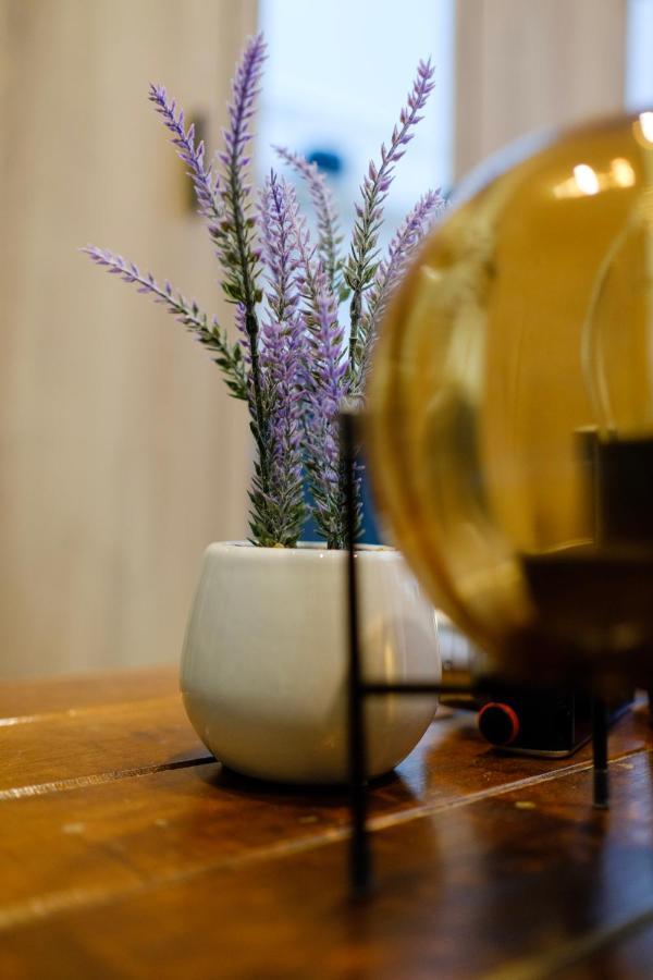 Cozy Homey Apartman Apartment *